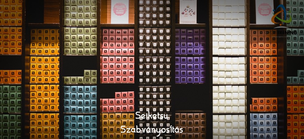 Seiketsu - Szabványosítás