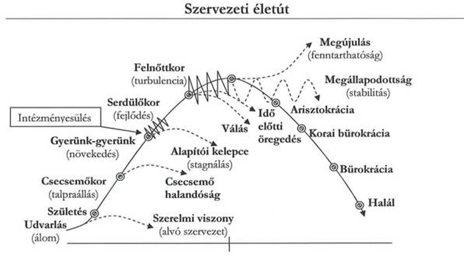 Cégfejlődés szakaszai_bevezető