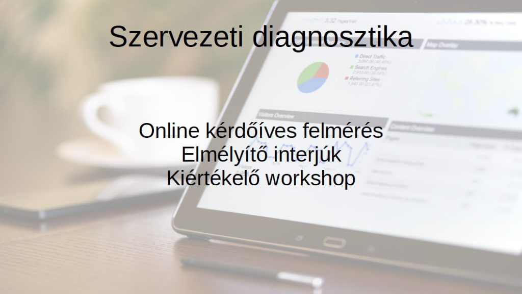 Szervezeti diagnosztika