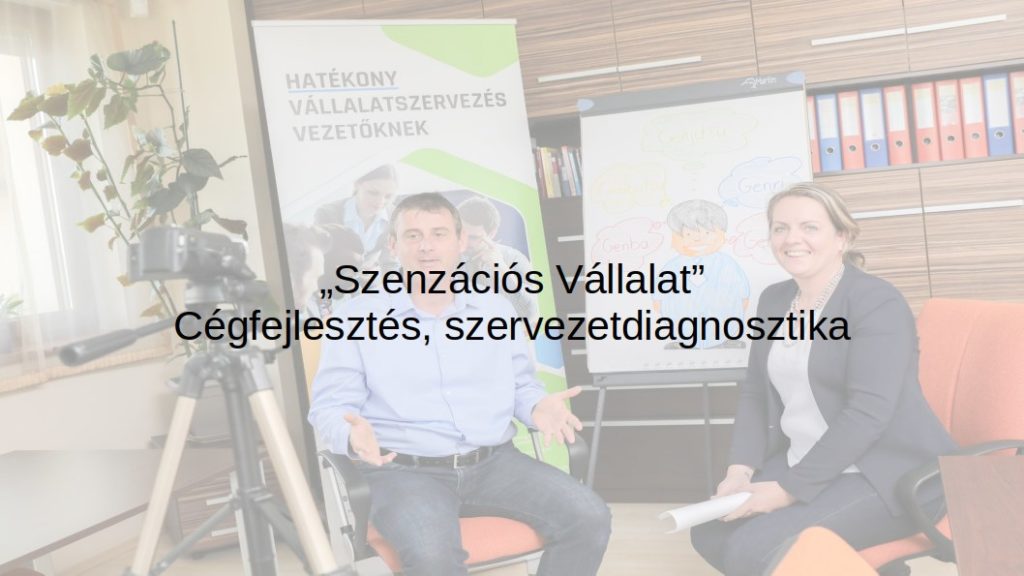 Szervezetdiagnosztika címkép