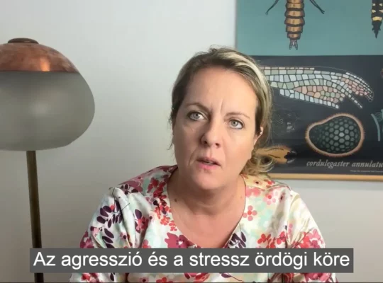 Agresszió és stressz