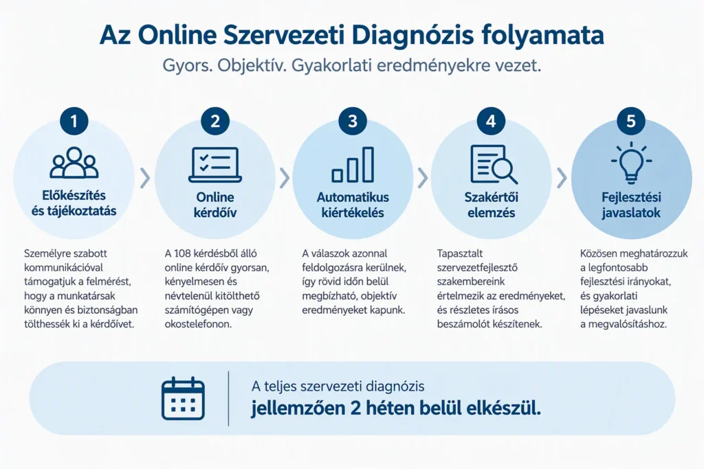 Online Szervezeti diagnózis folyamatábra